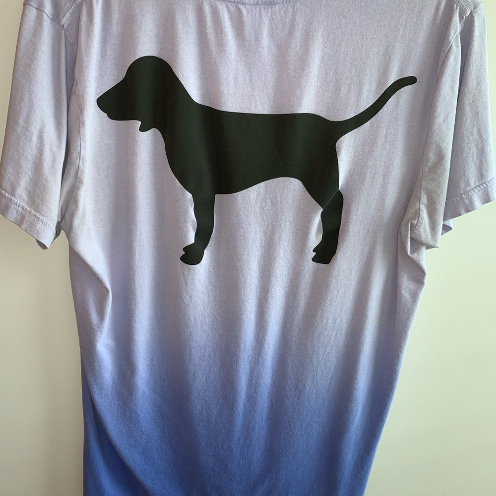Light purple to blueOmbré T-Shirt